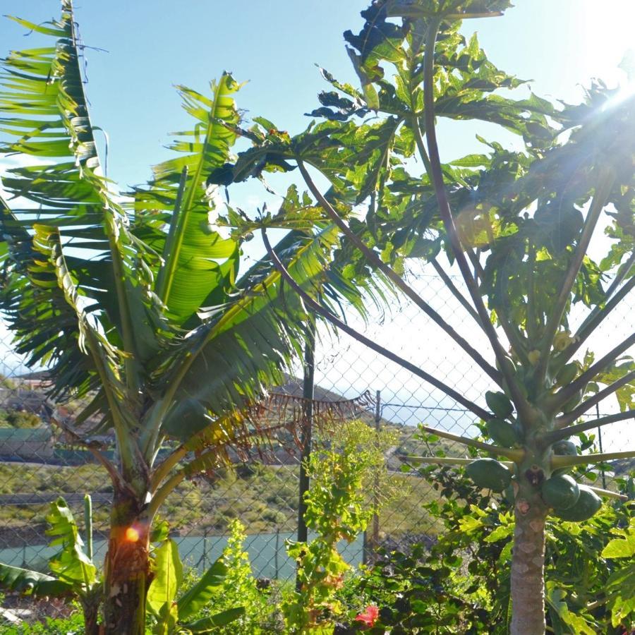 La Casa Del Barranco Villa Fasnia ภายนอก รูปภาพ